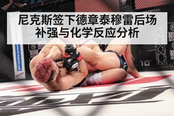 尼克斯签下德章泰穆雷后场补强与化学反应分析