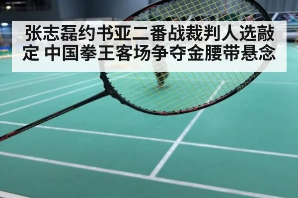 张志磊约书亚二番战裁判人选敲定 中国拳王客场争夺金腰带悬念